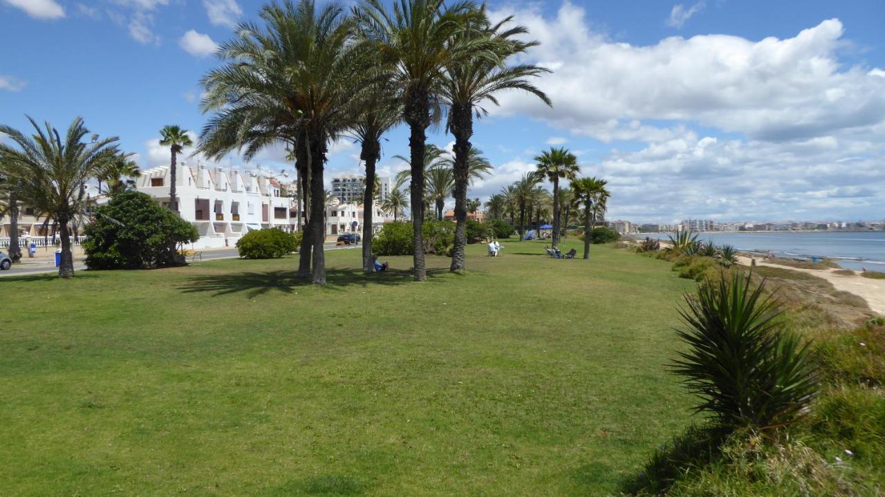 Apartment With Side Seaview 60 Meters From Sea Τορεβιέχα Εξωτερικό φωτογραφία