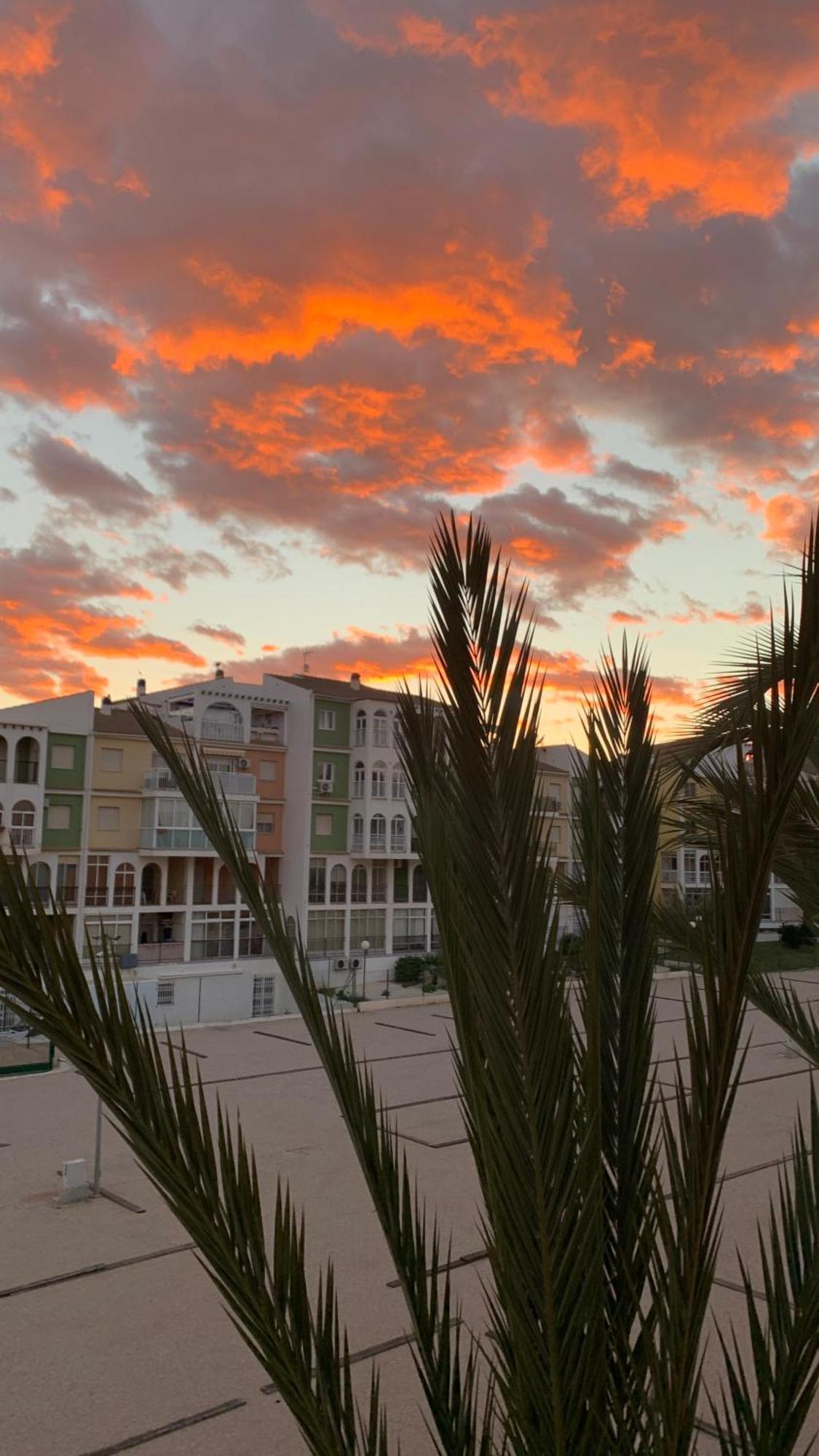 Apartment With Side Seaview 60 Meters From Sea Τορεβιέχα Εξωτερικό φωτογραφία