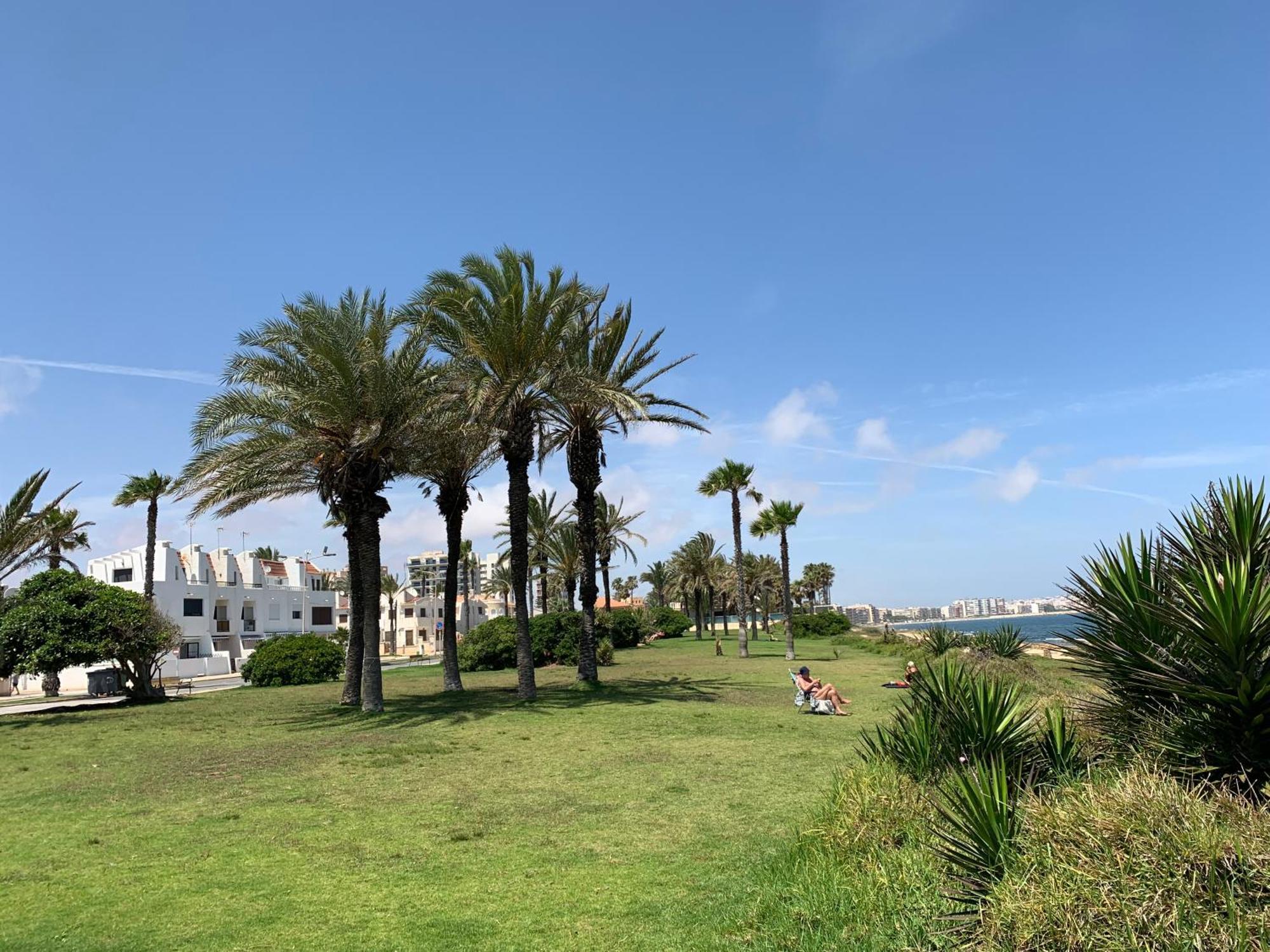 Apartment With Side Seaview 60 Meters From Sea Τορεβιέχα Εξωτερικό φωτογραφία