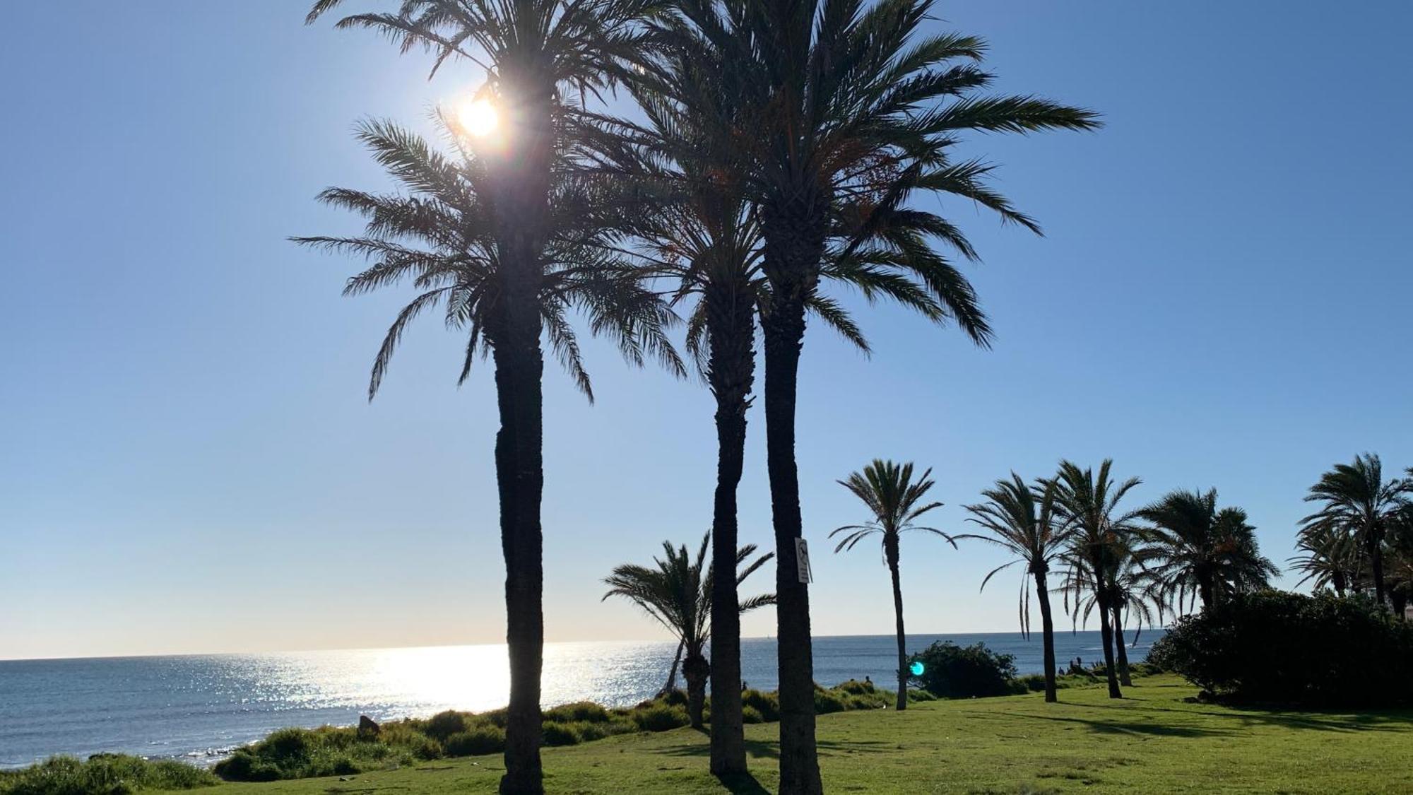 Apartment With Side Seaview 60 Meters From Sea Τορεβιέχα Εξωτερικό φωτογραφία