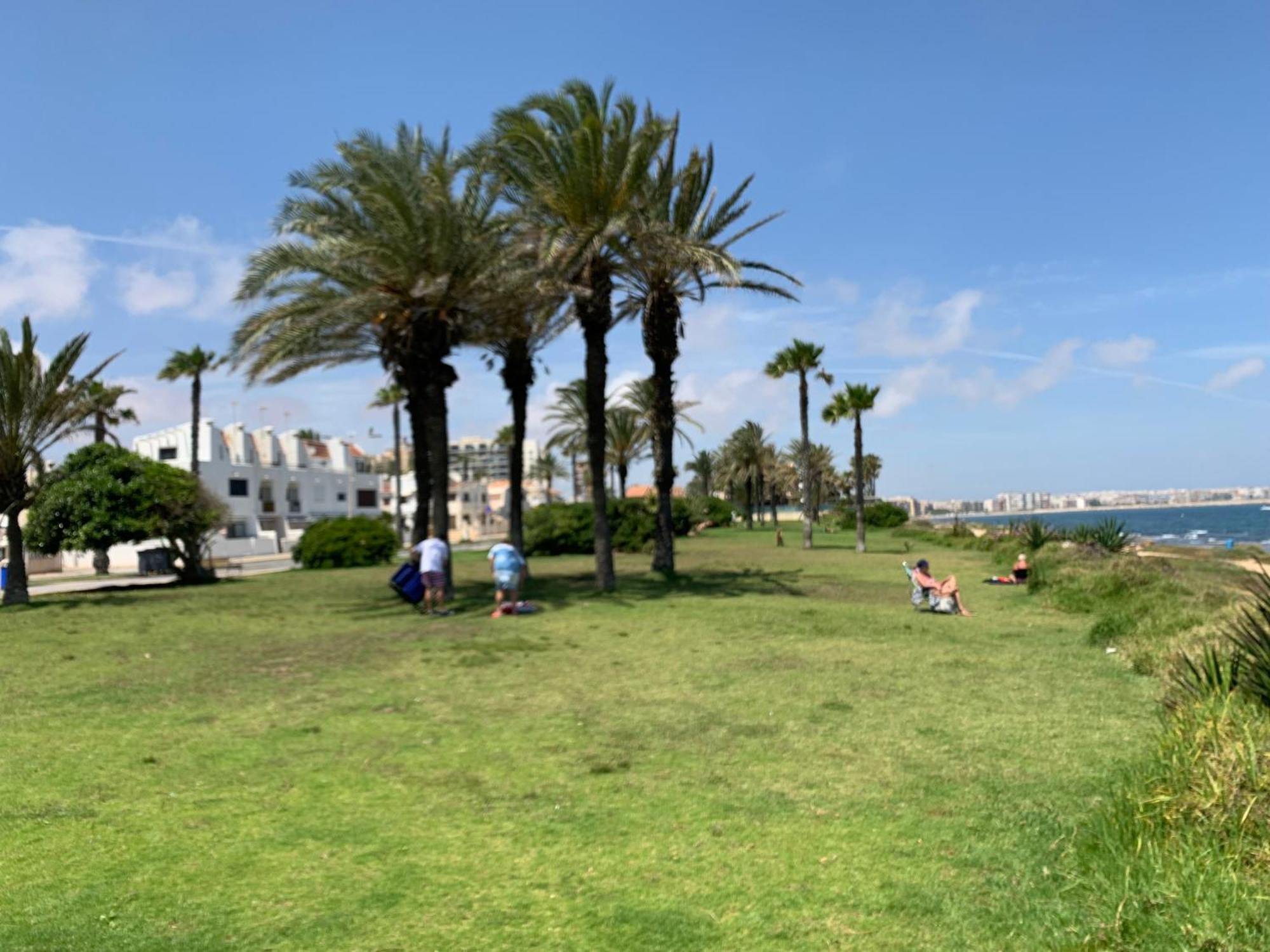 Apartment With Side Seaview 60 Meters From Sea Τορεβιέχα Εξωτερικό φωτογραφία